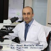 
                                Dr. Azad Mustafa Ahmed
                            